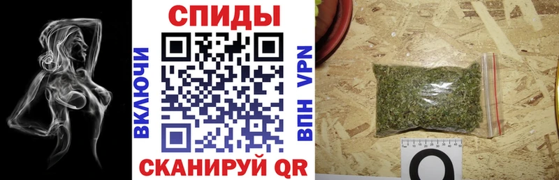 купить наркотики сайты  Темников  БУТИРАТ 1.4BDO 