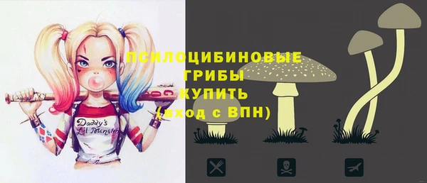 ПСИЛОЦИБИНОВЫЕ ГРИБЫ Абдулино