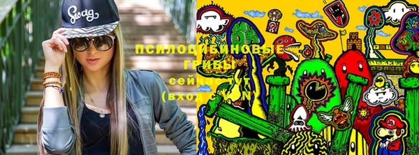 ПСИЛОЦИБИНОВЫЕ ГРИБЫ Абдулино